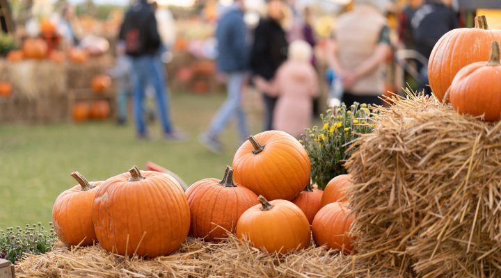 Embrace the Season of Change: Estate Planning Tips for Fall